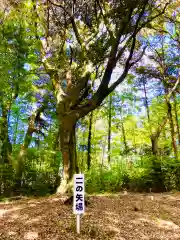 日枝神社(茨城県)