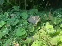 お堂(名称不明)(千葉県)