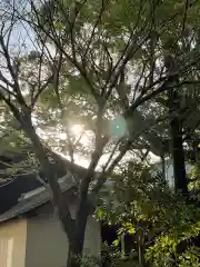 浅間神社(静岡県)