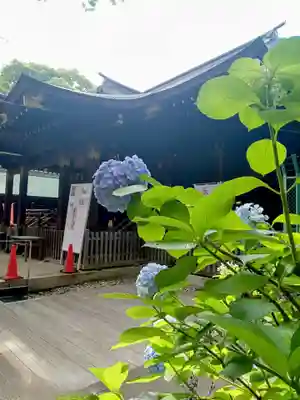 渋谷氷川神社(東京都)