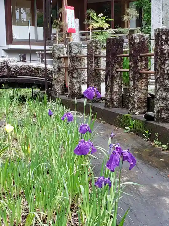 鳩森八幡神社の自然