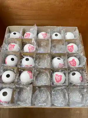 川越八幡宮(埼玉県)