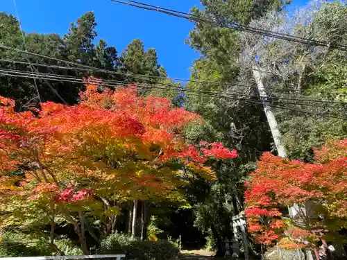 長谷八幡神社(奈良県)