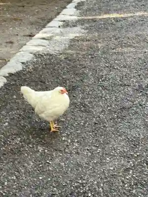 伊勢神宮外宮（豊受大神宮）(三重県)