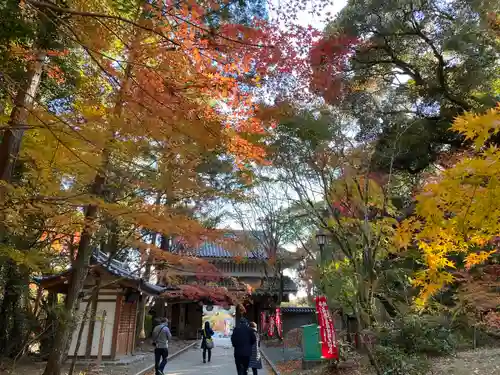 目の霊山　油山寺の建物その他