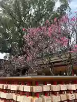 太宰府天満宮の絵馬