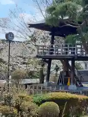 願成寺の建物その他