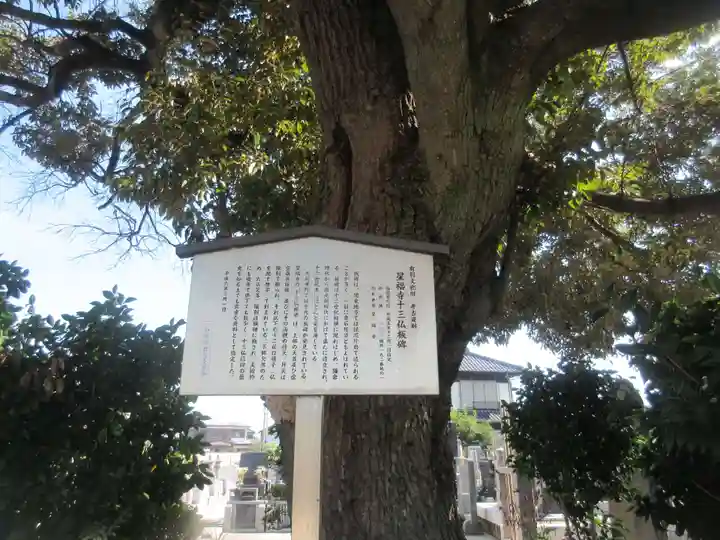 星福寺(埼玉県)