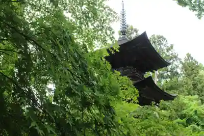 国宝 大法寺(長野県)