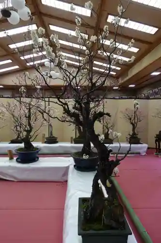 菅原天満宮（菅原神社）のその他建物