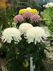 笠間稲荷神社(茨城県)