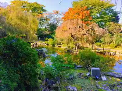 竹林院の庭園
