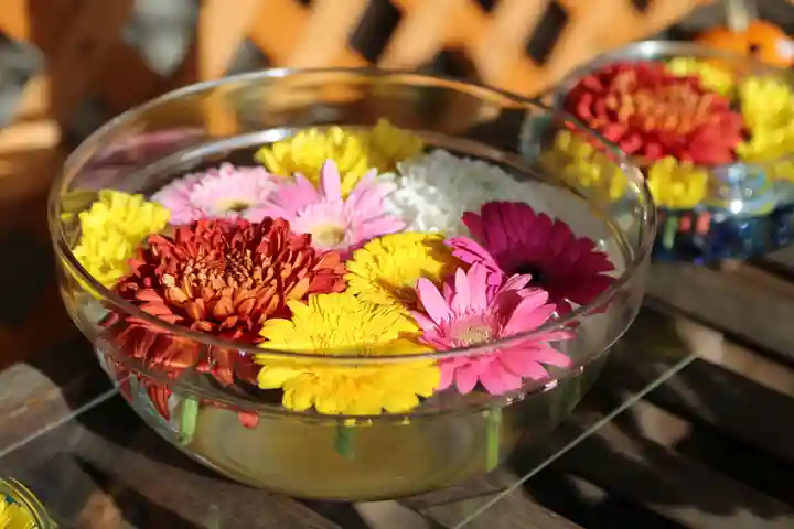 新川皇大神社の手水舎