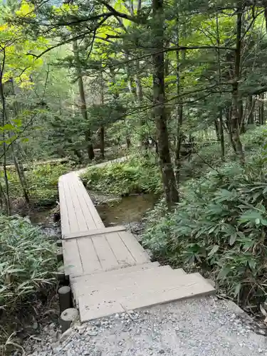 穂高神社奥宮の景色