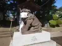 金ヶ作熊野神社の狛犬