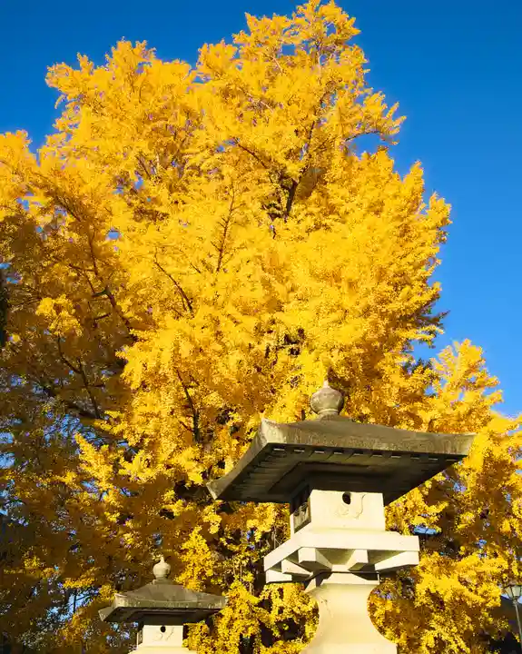 鑁阿寺(栃木県)