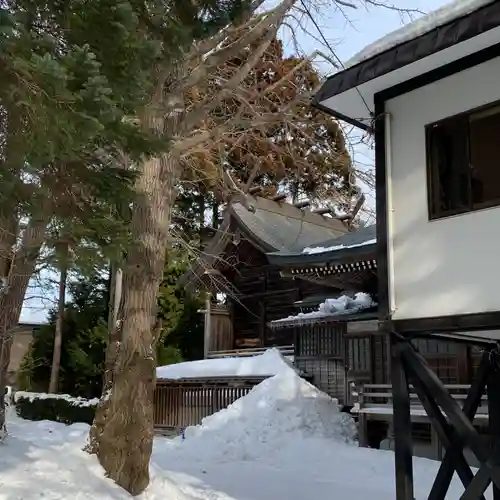 湯倉神社の本殿・本堂