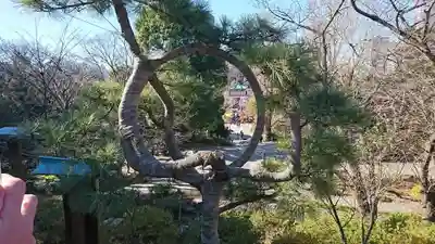 清水観音堂(東京都)