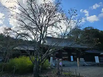 吉野神宮(奈良県)