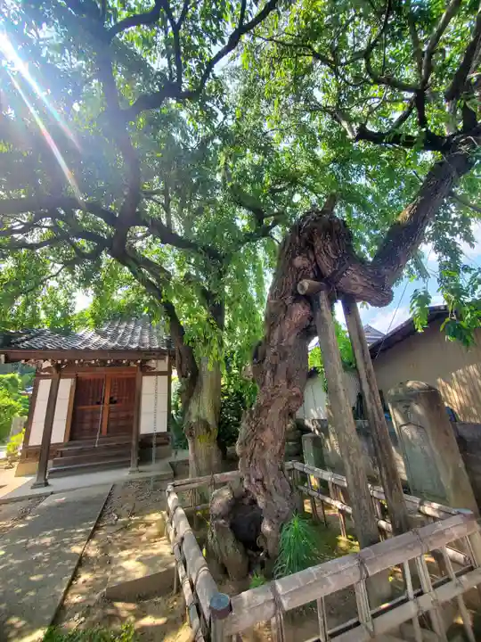 西光寺(福島県)
