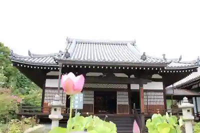 當麻寺 奥院の本殿・本堂