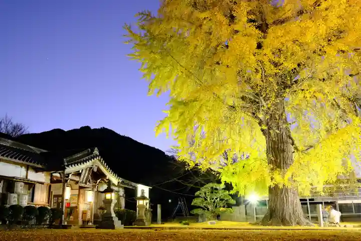 丹生酒殿神社(和歌山県)