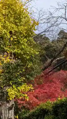 乗願寺(京都府)