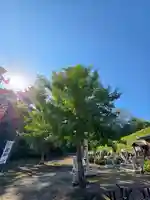 美幌神社(北海道)