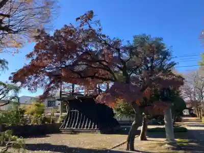 極楽寺(東京都)