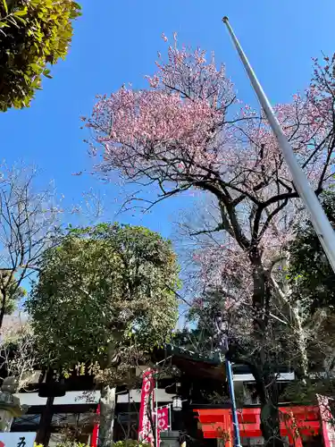 五條天神社(東京都)
