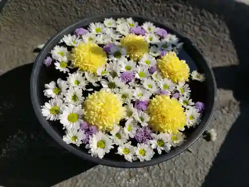 鹿島台神社(宮城県)