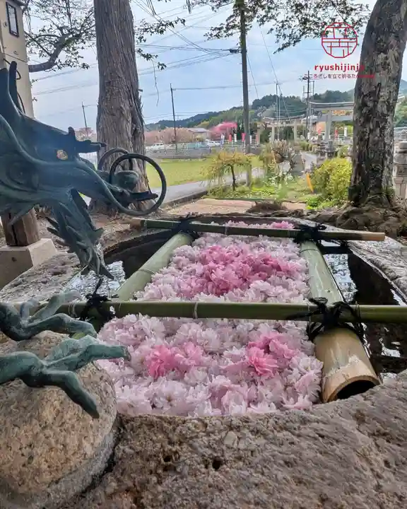 立志神社(滋賀県)