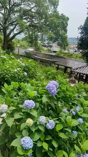 吉備津神社(岡山県)