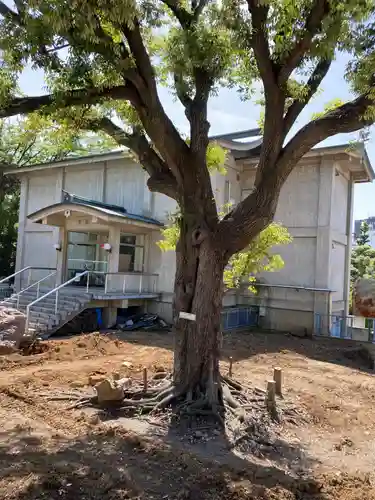 富岡八幡宮(東京都)