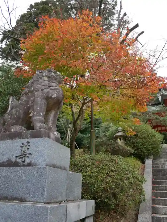 香取神宮の狛犬