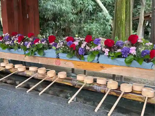 武蔵一宮氷川神社(埼玉県)