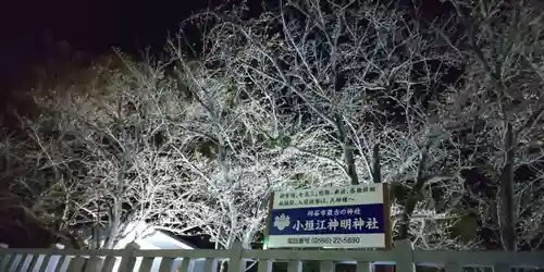 小垣江神明神社の自然