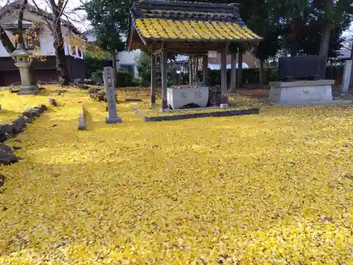 天川命神社(滋賀県)