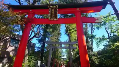 馬橋稲荷神社の鳥居