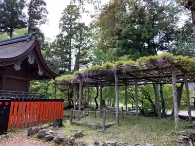 賀茂別雷神社（上賀茂神社）(京都府)
