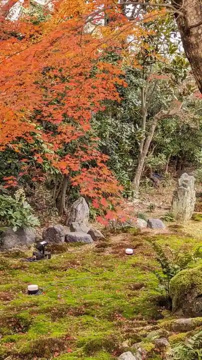 浄住寺(京都府)