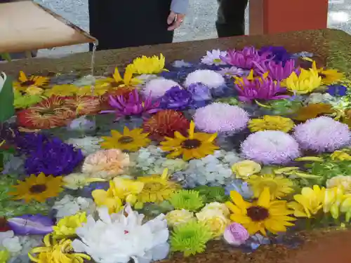 鶴岡八幡宮の手水舎