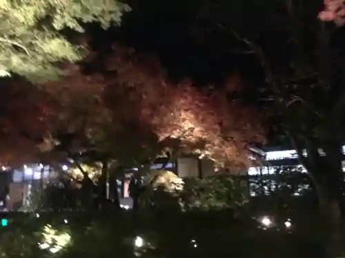 高台寺（高台寿聖禅寺・高臺寺）(京都府)