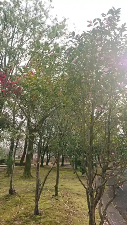 八幡神社の周辺