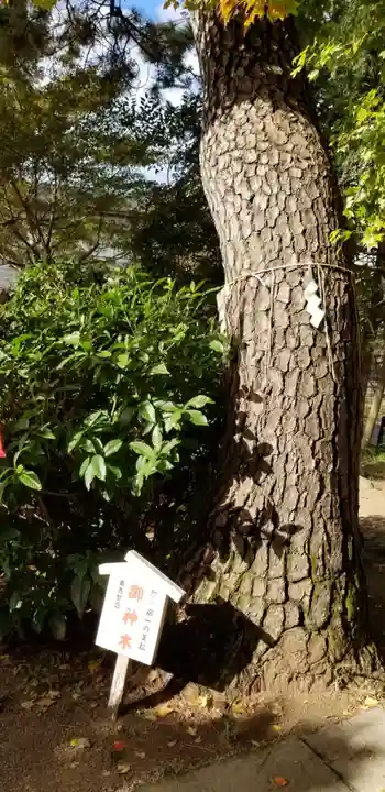 松先稲荷神社の自然