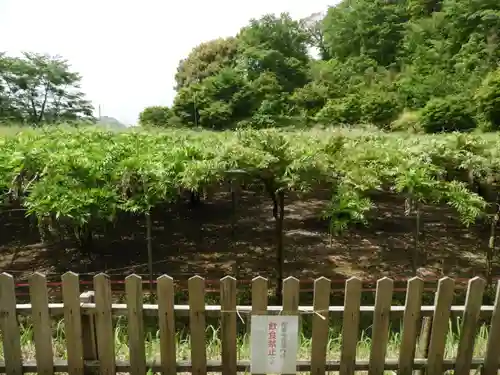 和気神社の庭園