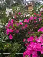 境香取神社の自然