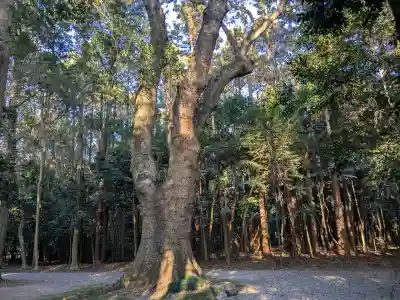 神服織機殿神社(皇大神宮所管社)の{uncategorized: "未分類", other: "その他", undefined: "問題あり", building: "その他建物", grave: "お墓", sacred_gate: "鳥居", guardian: "狛犬", statue: "像", buddha: "仏像", history: "歴史", nature: "自然", garden: "庭園", animal: "動物", pagoda: "塔", temizu: "手水舎", mountain_gate: "山門・神門", sanctuary: "本殿・本堂", subordinate: "末社・摂社", art: "芸術", scenery: "景色", jizo: "地蔵", ema: "絵馬", goshuin: "御朱印", omikuji: "おみくじ", items: "授与品その他", amulet: "お守り", goshuincho: "御朱印帳", eats: "食事", festival: "お祭り", votive_dance: "神楽", shichigosan: "七五三参", wedding: "結婚式", experience: "体験その他", initially: "初詣", around: "周辺", anti_infection: "感染症対策"}