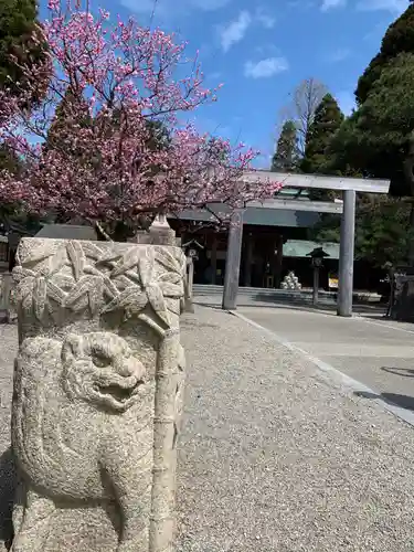 射水神社の鳥居