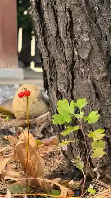 七重浜海津見神社(北海道)